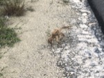 resIMG_20190708_193413_5656.JPG